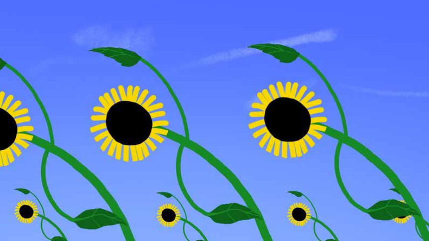 Tournesol