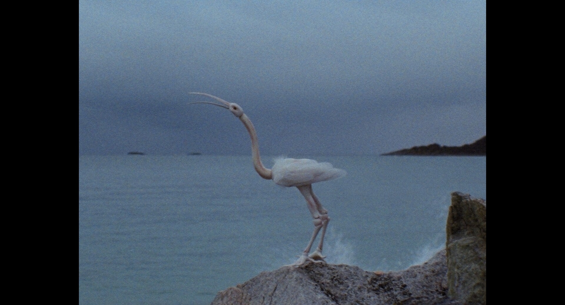 On Weary Wings Go By